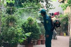 Số ca mắc sốt xuất huyết giảm