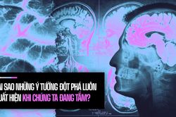 Đi tìm suối nguồn sáng tạo trong não bộ: Tại sao những ý tưởng đột phá luôn xuất hiện khi chúng ta đang tắm?