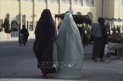 Taliban buộc các tổ chức phi chính phủ không cho phụ nữ làm việc