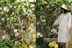 Mãn nhãn trước khu vườn 4 mùa hoa nở, cây cối tươi tốt quanh năm của cô gái 9x
