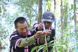 Hà Nội với cả nước ngày 25/12/2022