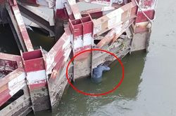 Nam thanh niên thoát chết khi nhảy cầu Sài Gòn