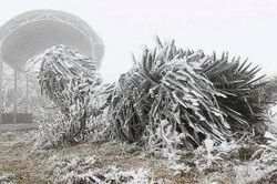 Dự báo không khí lạnh: Từ chiều và đêm 28/12, Bắc Bộ, Thanh Hóa rét đậm, vùng núi rét hại; vùng núi cao có mưa tuyết và băng giá