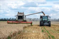 Ukraine và Ba Lan thảo luận vấn đề xuất khẩu ngũ cốc