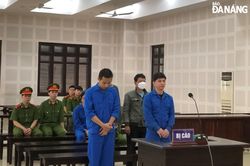 Vào tù vì bảo lãnh chuyên gia 'dỏm' ở lại Việt Nam trái phép