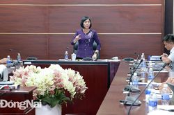Đẩy nhanh thực hiện dự án đường cao tốc Biên Hòa - Vũng Tàu và đường Vành đai 3 - TP.HCM
