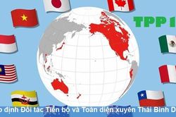 Tăng cường xuất khẩu vào thị trường các nước thành viên CPTPP