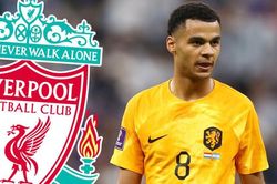 'Hớt tay trên' MU, Liverpool đạt thỏa thuận chiêu mộ Gakpo