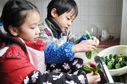 Cách dạy trẻ yêu việc nhà từ rèn luyện kỹ năng... nội trợ
