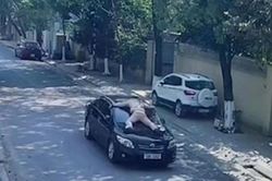 'Ma men' lái xe hết hạn đăng kiểm hất CSGT lên mui xe: Dấu hiệu của tội 'chống người thi hành công vụ'