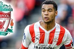 MU 'vồ hụt' Cody Gakpo, bị Liverpool nẫng tay trên