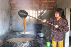 Vựa mật xứ Lường vào vụ Tết
