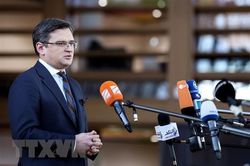 Ukraine dự định tổ chức hội nghị hòa bình vào đầu năm tới