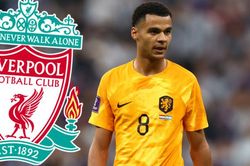 CHÍNH THỨC: Liverpool bất ngờ phát nổ bom tấn Cody Gakpo