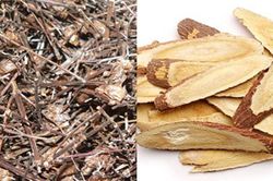 Uống nhân trần và cam thảo có thể gây rối loạn sinh dục nam