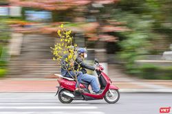 Học sinh ở Đà Nẵng được nghỉ Tết Nguyên đán Quý Mão 12 ngày