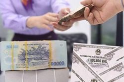 VCCI: Năm 2023 chọn một số doanh nghiệp phát hành trái phiếu phải có xếp hạng tín nhiệm