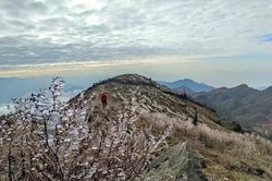 Miền Bắc bước vào đợt rét đậm rét hại mạnh kèm mưa ẩm