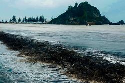'Mùn biển' xâm nhập Cửa Lò, cảnh báo tình trạng rác thải đại dương