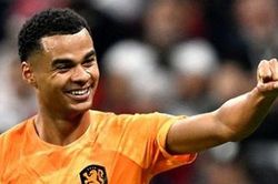Lý do Liverpool cướp được Gakpo trên tay Man United