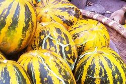Chỉ với 1 quả dưa bỏ bạn vừa trắng da vừa sạch mụn hiệu quả