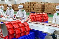 Kim ngạch xuất nhập khẩu cán mốc 732 tỷ USD