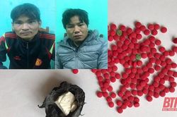 Thanh Hóa phát hiện, bắt giữ 785 vụ, 1.493 đối tượng phạm tội về ma túy
