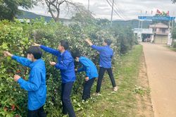 Bình yên trên tuyến đường quê