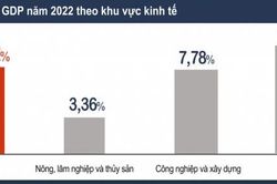 GDP năm nay tăng cao nhất 12 năm
