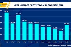 Cung – cầu thay đổi, giá cà phê sẽ thế nào những tháng đầu năm 2023