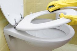 Nắp và bệ bồn cầu bị ố vàng: Áp dụng mẹo nhỏ này bồn cầu trắng tinh như mới