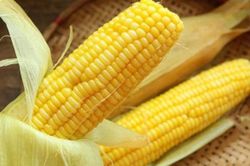 Luộc ngô chỉ cho nước là sai, thêm 2 thứ gia vị này đảm bảo hạt ngô mẩy ăn cực ngọt, ai cũng mê