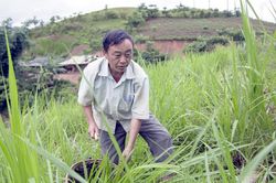 Phìn Hồ chủ động phòng tránh rét cho vật nuôi