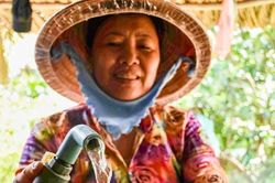 Nhanh chóng khắc khục chậm lập và quản lý hành lang bảo vệ nguồn nước