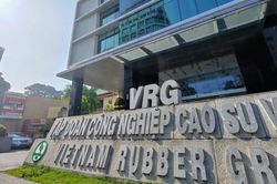 Năm 2022: Tập đoàn Cao su Việt Nam đạt lợi nhuận trước thuế 5.200 tỷ đồng