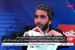 Giáo sư Afghanistan xé bằng trên sóng để phản đối lệnh cấm của Taliban