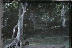 Ngoại thành Hà Nội đầu thế kỷ 20 qua loạt ảnh màu tuyệt đẹp (1)