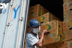 Nông sản Việt chinh phục những thị trường khó tính