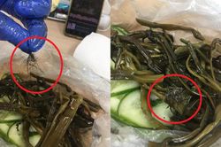 'Sởn da gà' với búi tóc bạc lẫn trong hộp đồ ăn mua online, cô gái sốc hơn với lời đáp của nhà hàng