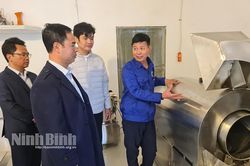 Hỗ trợ xây dựng chuỗi sản phẩm sâm tại HTX sâm Cúc Phương Bochi