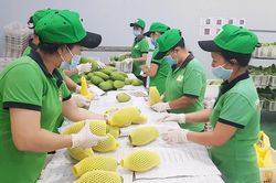 Tạo đột phá cho chế biến nông sản