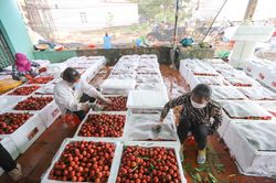 Thêm cơ hội để đẩy mạnh xuất khẩu nông sản