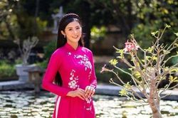 Sao Việt diện áo dài khoe sắc đón Xuân, rộn ràng mừng năm mới