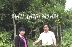 Màu xanh no ấm