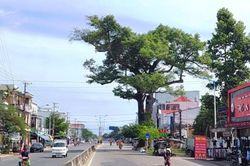 Vì sao đưa 880ha thuộc bốn xã, thị trấn huyện Diên Khánh vào quy hoạch chung Nha Trang?