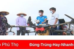 Chuyển đổi số - 'Chìa khóa' phát triển nông nghiệp