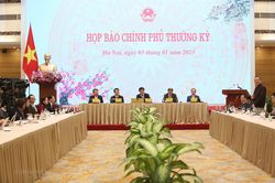 Sai phạm đăng kiểm ôtô: 'Virus Việt Á' trong lĩnh vực giao thông