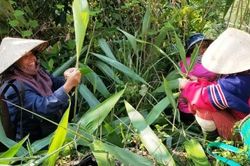 Chính trị - Xã hội Theo dòng thời sự Đời sống đồng bào dân tộc thiểu số và miền núi ngày càng ổn định