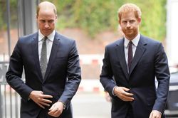 Hoàng tử Harry tiết lộ lần xô xát với anh trai William