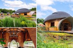 Thiết kế cabin lấy cảm hứng từ rùa là một nét đặc trưng tại Thái Lan